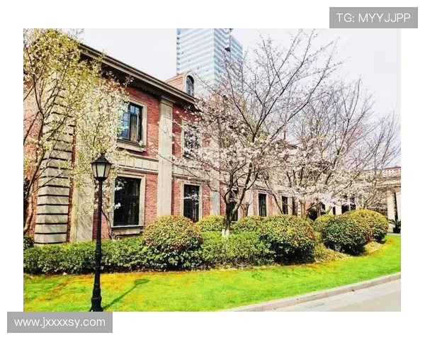 上海羽毛球队在洲际杯中的蜕变与未来发展之路探讨