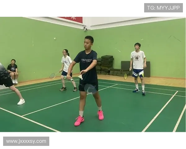 南京羽毛球队个人能力分析与表现评估研究报告